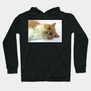 cat Hoodie